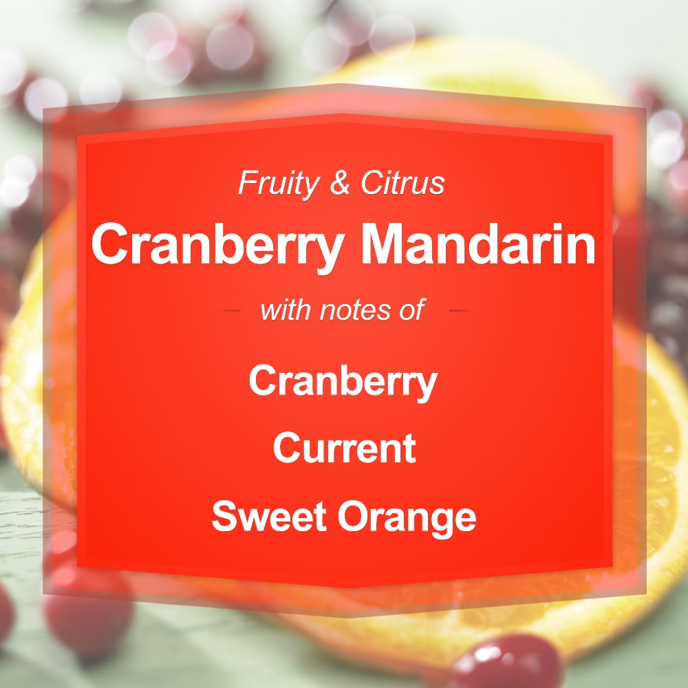 Cranberry Mandarin Scented Can - Home Fragrance Scented Candle 评论和价格