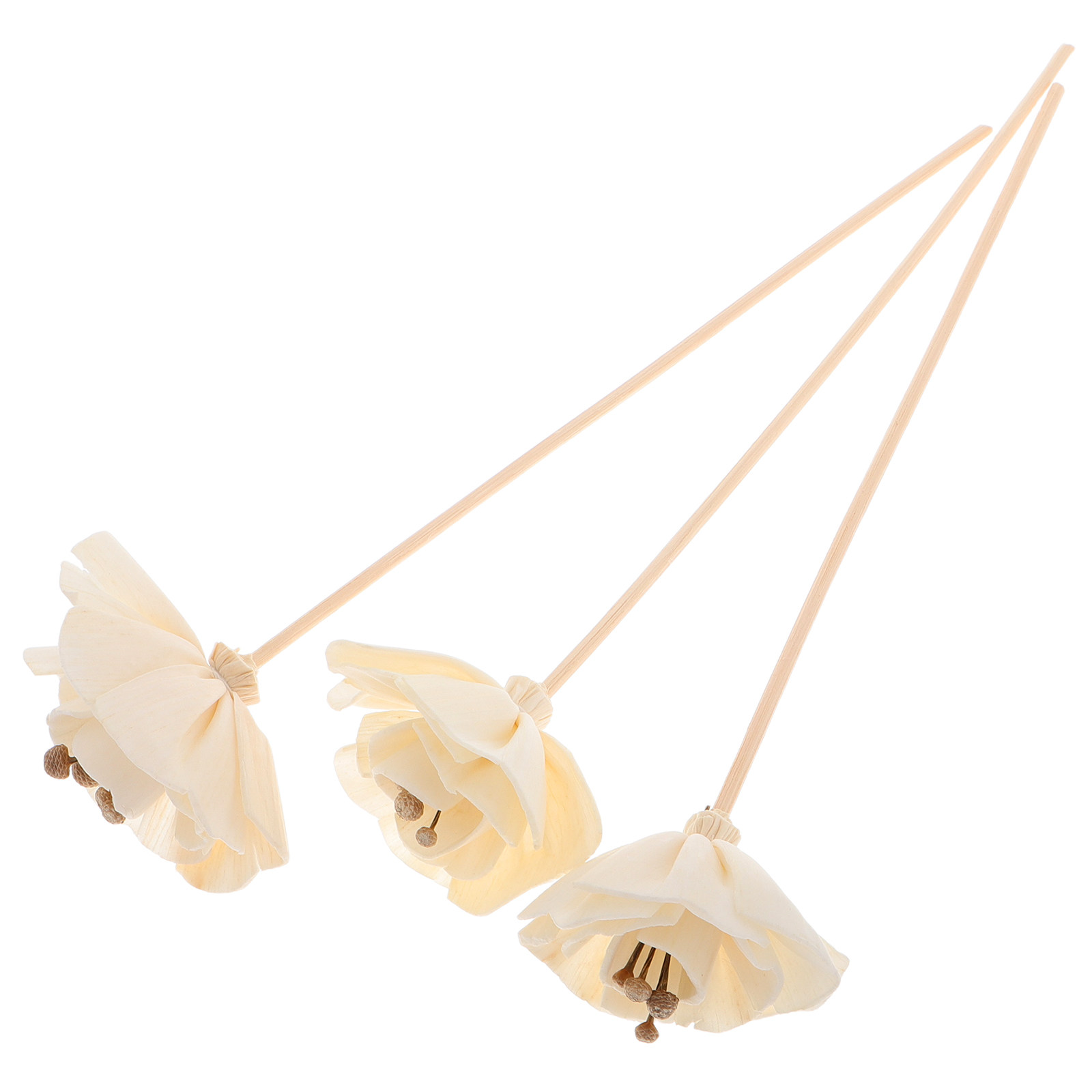 3Pcs Dried Floral Fragrance Di - Home Fragrance Stick 评论和价格