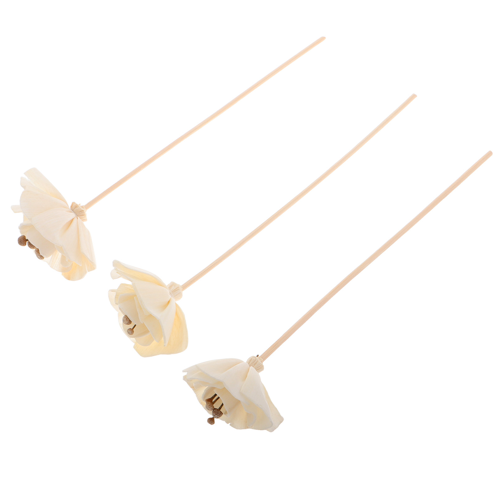 3Pcs Dried Floral Fragrance Di - Home Fragrance Stick 评论和价格