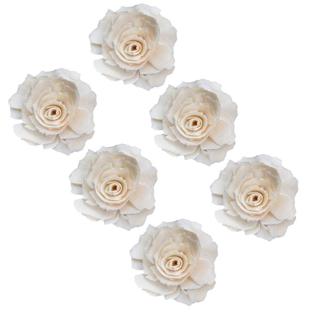 6Pcs Natural Handmade Diffuser - Home Fragrance Stick 评论和价格