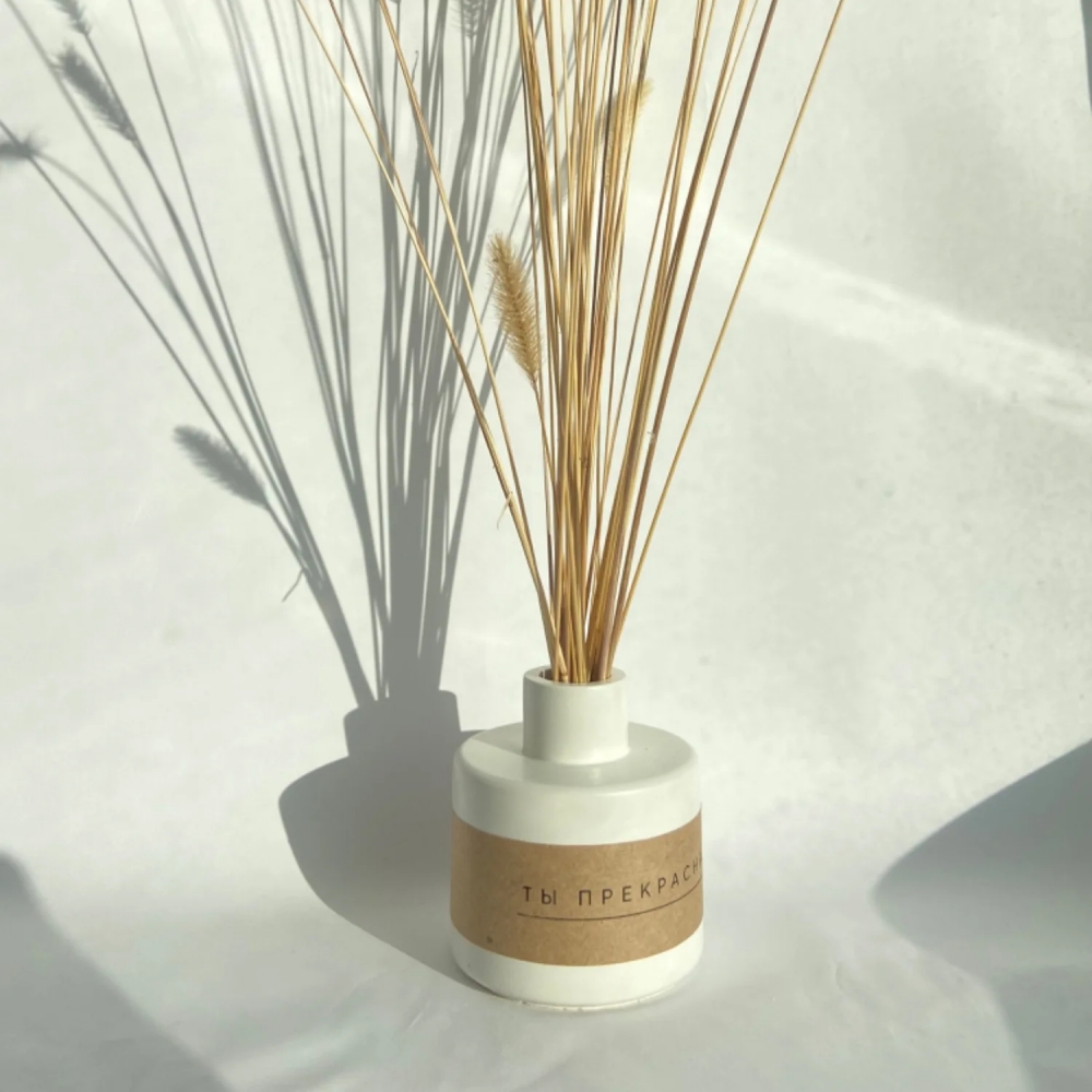 Fragrance Bottle Clay Silicone - Room Spray Bottle 评论和价格